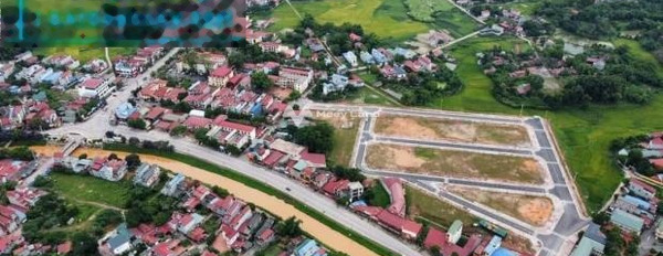 Đang cần gấp tiền bán mảnh đất, 100m2 giá bán phải chăng từ 1.58 tỷ vị trí đặt ngay ở Hương Sơn, Phú Bình khu vực đông đúc-03