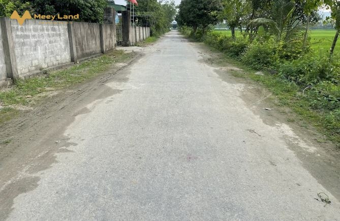 Bán đất Xã Xuân Viên, Huyện Nghi Xuân, Hà Tĩnh