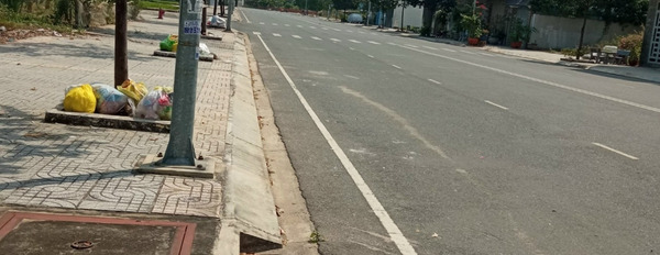 Bán cắt lỗ lô đất 120m2, trên đường Nguyễn Hữu Cảnh, Nhơn Trạch, thổ cư 100%, có sổ hồng riêng giá chỉ 1,65 tỷ-03