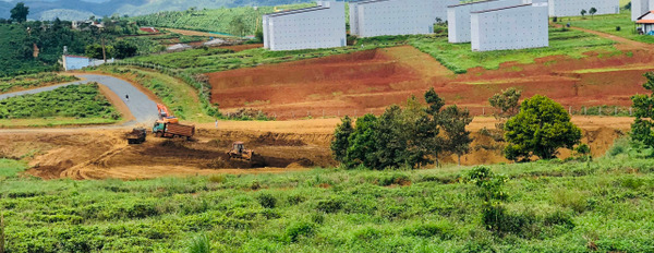 Chuyển nhượng đất làm farm stay ngay khu du lịch đồi chè Tâm Châu giá chỉ 5 triệu/m2-02