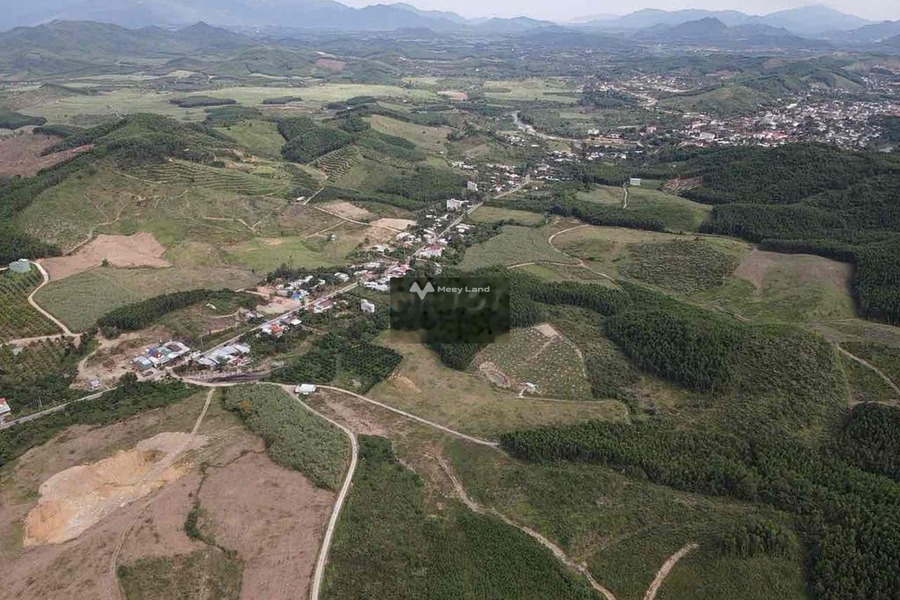 Đầu tư bất động sản bán mảnh đất, 583m2 giá bán cơ bản 380 triệu vị trí đẹp ngay trên Khánh Nam, Khánh Hòa thuận tiện đi lại-01