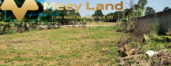 Bán lô đất thổ cư 1567m2 hợp làm nghỉ dưỡng tại Lương Sơn, Hòa Bình-03