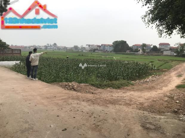 Bán mảnh đất Tân An, huyện Yên Dũng diện tích 91m2-01