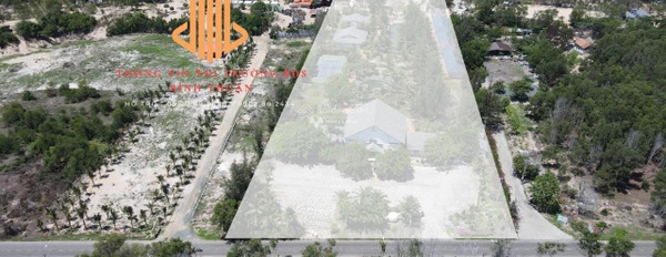 3 ha resort 3* đang hoạt động Tân Phước - Lagi - Bình Thuận cần sang nhượng lại bãi đậu xe rộng-03