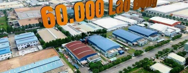 Đang làm ăn lớn bán đất An Bình, Phú Giáo giá siêu mềm chỉ 720 triệu có diện tích rộng 800m2-03