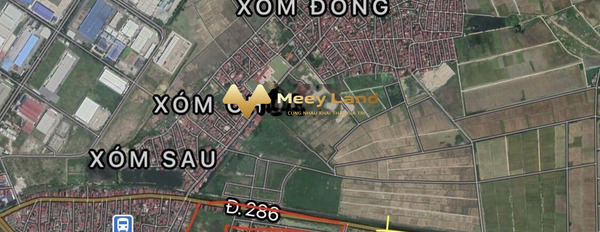Tỉnh Lộ 286, Yên Phong 2.07 tỷ bán đất, diện tích thực 115 m2-03