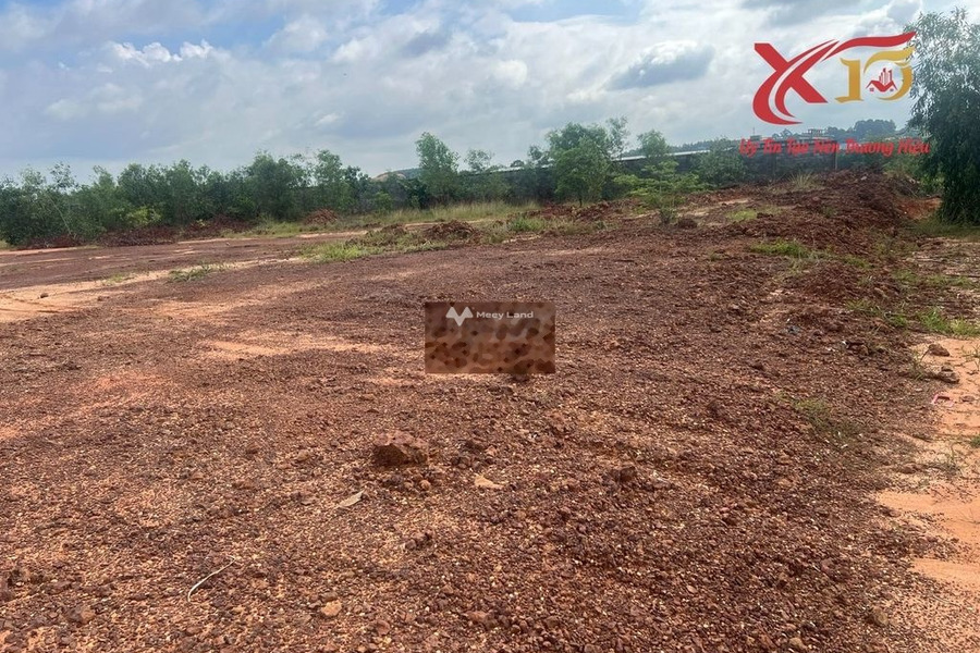 Bán đất 73 tỷ Tam Phước, Đồng Nai diện tích thực 18300m2-01
