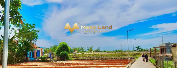 Giá bán hữu nghị 580 triệu bán đất dt cụ thể 101 m2 vị trí thuận lợi tọa lạc trên Điện Hòa, Điện Bàn, hướng Nam-02