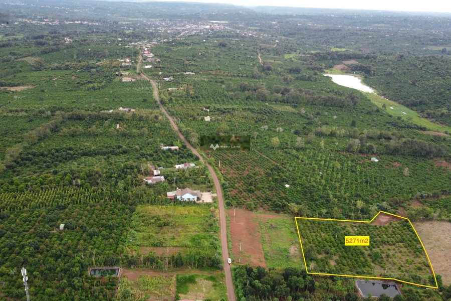 Vị trí thuận lợi tọa lạc trên Krông Năng, Đắk Lắk bán đất giá bán thỏa thuận 527 triệu Diện tích đất 5271m2-01