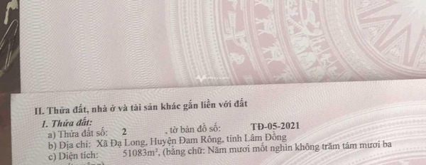 Giá bán siêu rẻ từ 12.5 tỷ, Bán đất diện tích tiêu chuẩn 50000m2 vị trí thuận lợi tọa lạc trên Đạ Long, Đam Rông gọi ngay!-03