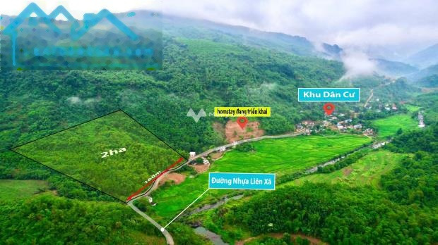 Ở Kim Bôi, Hòa Bình bán đất 1.3 tỷ diện tích thực tế 20000m2-01