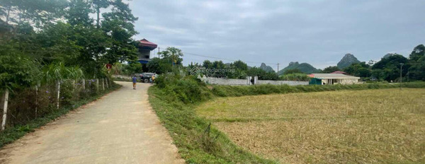 Bán đất tại Liên Sơn, Lương Sơn. Diện tích 1000m2-03