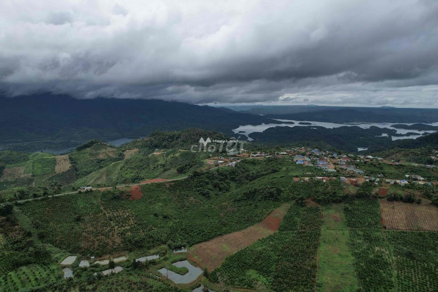 Đăk Glong, Đắk Nông bán đất giá rẻ bất ngờ chỉ 2.5 tỷ diện tích thực là 11860m2-01