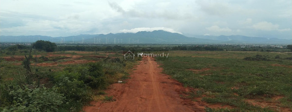 Vị trí thuận lợi tọa lạc ở Quốc Lộ 1A, Ninh Thuận bán đất diện tích sàn là 18000m2-02