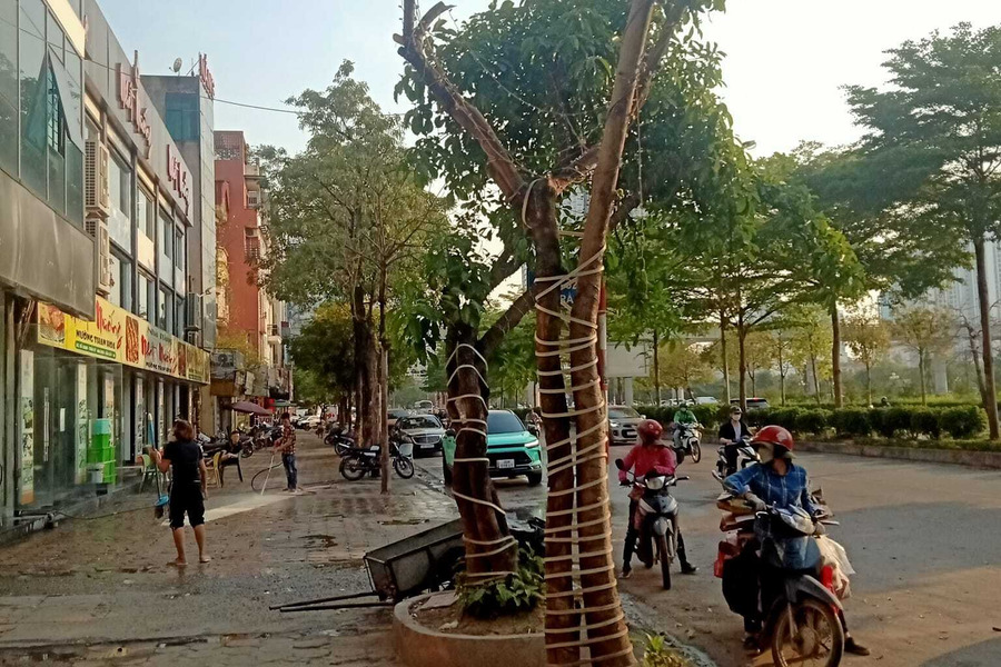 Bán nhà mặt phố Trần Vỹ, Cầu Giấy, Hà Nội. Diện tích 60m2, giá 24 tỷ-01