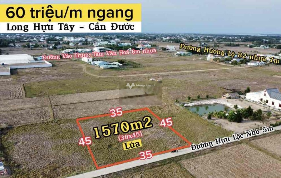 2.1 tỷ bán đất có diện tích thực 1570m2 nằm ngay bên trong Long Hựu Tây, Long An-01