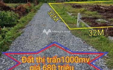 Chính chủ bán đất Tỉnh Lộ 822, Đông Thành giá bán cạnh tranh 680 triệu diện tích dài 1000m2-02