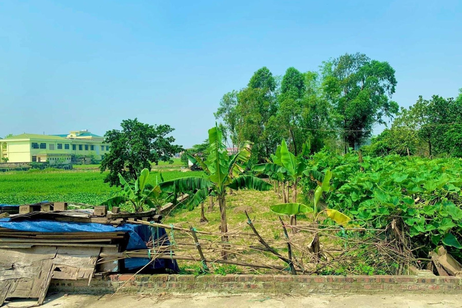 Vị trí mặt tiền ngay trên Võ Nguyên Giáp, Hà Nội bán đất giá bán siêu khủng 1.6 tỷ diện tích gồm 88m2-01