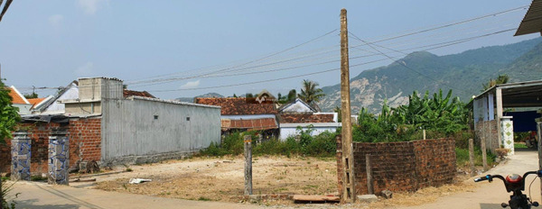 Bán đất diện tích 3392m2 tại Vạn Khánh, Vạn Ninh-03