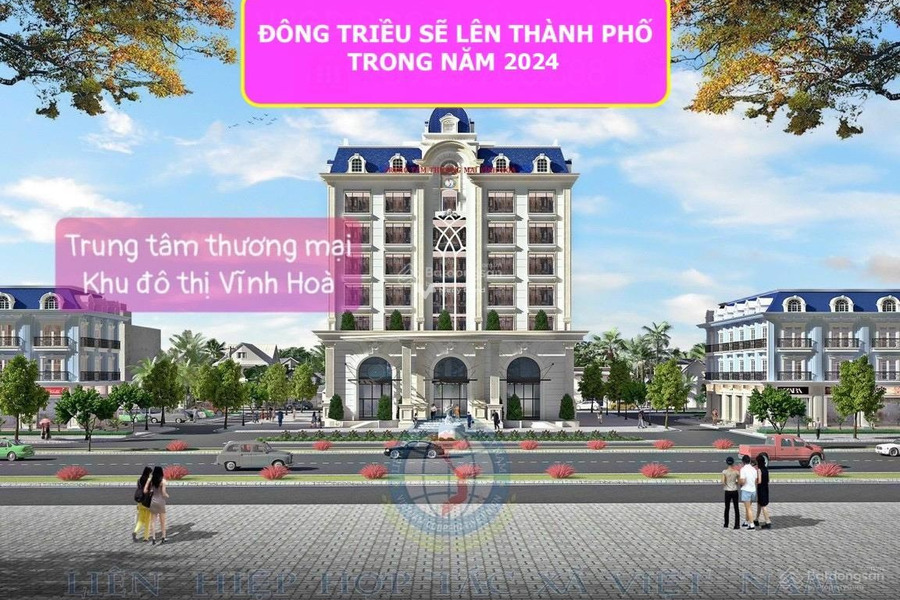 Đang cần gấp tiền bán đất Mạo Khê, Quảng Ninh giá bán siêu rẻ từ 55.19 tỷ diện tích mặt tiền 3942m2-01