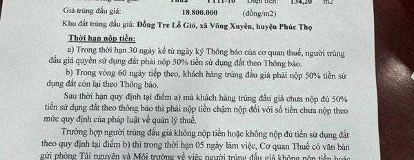 Cần bán đất huyện Phúc Thọ, Hà Nội giá 18,8 triệu/m2-03