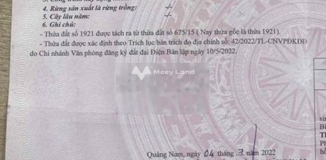 Bán đất 1 tỷ Điện Nam Đông, Quảng Nam diện tích tiêu chuẩn 100m2-03