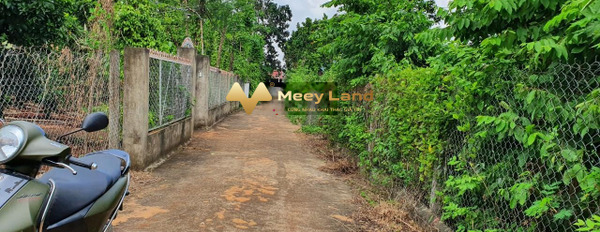 Bán đất tại Xuân Thọ, Xuân Lộc, Đồng Nai. Diện tích 100m2, giá 550 triệu-03