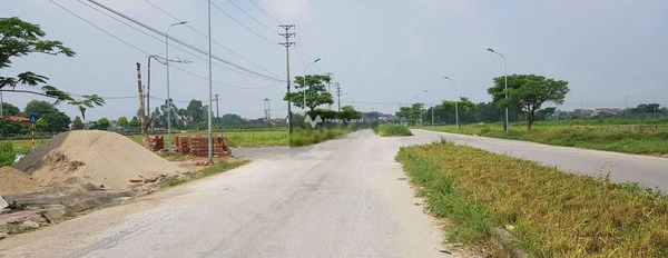 Vị trí đẹp Sóc Sơn, Hà Nội bán đất giá bán siêu tốt chỉ 3.46 tỷ Diện tích đất 105m2-03