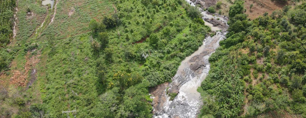 Vip - Bán thác tự nhiên tại Buôn Hồ, ĐắK Lắk 7000m2 chỉ 1 tỷ 5 (Giáp suối, thác tự nhiên đẹp) khu vực đông đúc-02