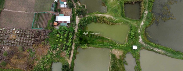 Nằm trong mức 250 triệu bán đất diện tích thực tế 1500m2 mặt tiền tọa lạc gần Hòa Lễ, Đắk Lắk-03