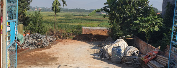 Chính chủ cần bán ô đất 100m2 tại Phú Ninh, Thanh Vân. Giá 730 triệu-03