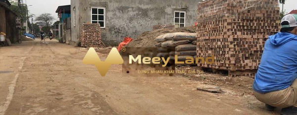 Đường Võ Văn Kiệt, Thị Trấn Quang Minh bán đất giá bán cực rẻ chỉ 1.02 tỷ dt gồm 62 m2-03