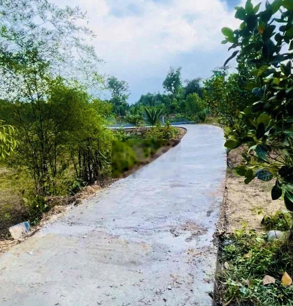 Bán đất 3500m2 có 600m2 đất ở Thăng Bình giá 1ty450 -01