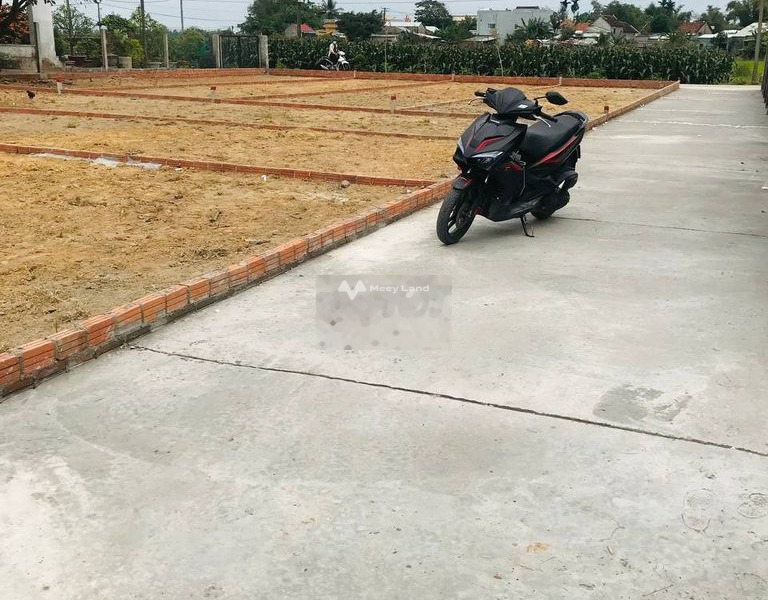 Giá bán thỏa thuận 379 triệu, Bán đất diện tích trong khoảng 115m2 vị trí thuận lợi tọa lạc ngay trên Thị Trấn Ái Nghĩa, Đại Lộc vị trí siêu đẹp-01