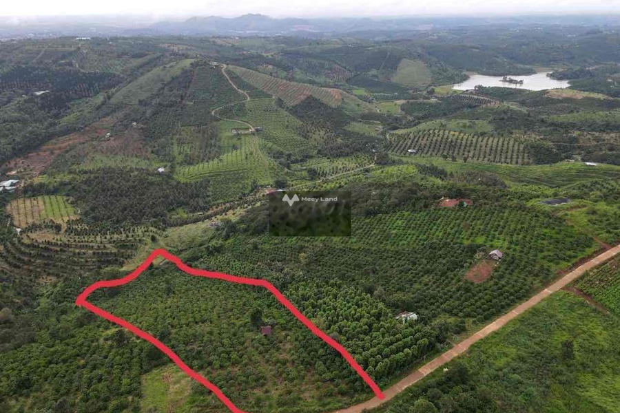 Giá bán thỏa thuận 2.15 tỷ bán đất diện tích thực dài 9000m2 vị trí đẹp ngay Đắk Nia, Đắk Nông-01