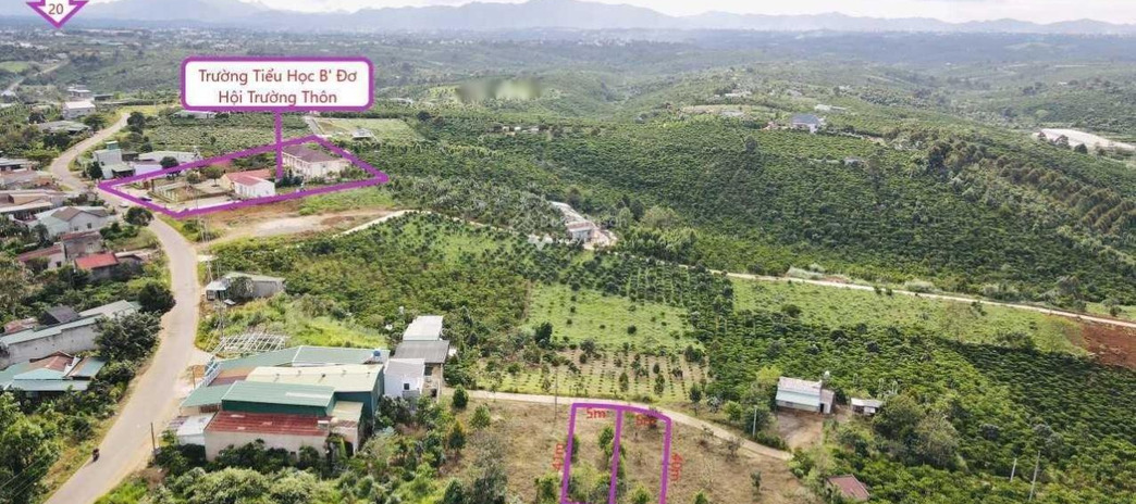 Nằm tại Đường 20, Bảo Lâm bán đất 720 triệu tổng diện tích là 200m2