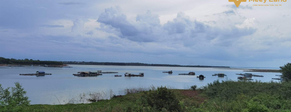 Đất mặt tiền lòng hồ Trị An, Vĩnh An, Vĩnh Cửu, 2500m2, giá 3,6 tỷ-02