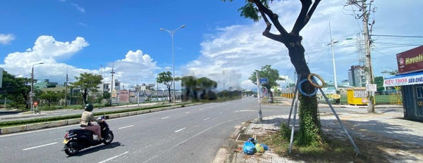 Bán đất biệt thự đường Nguyễn Đình Thi B2.1 đảo vip 250m2 giá rẻ -02