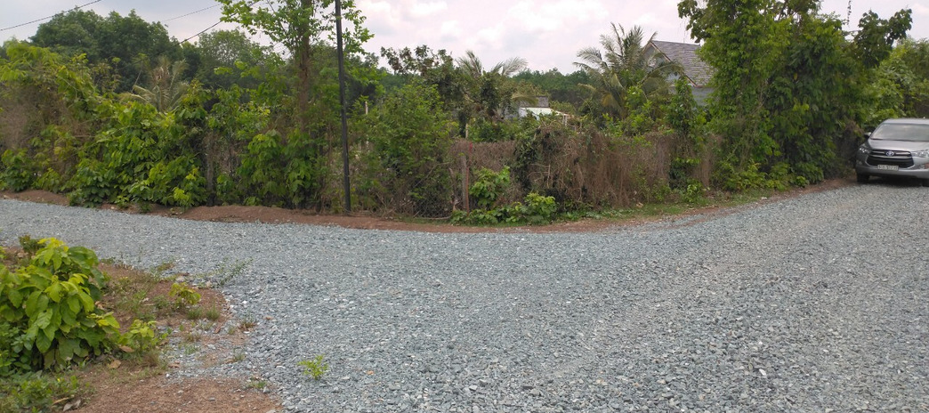 Cần xoay vốn bán gấp mảnh đất vườn giáp sông Cần Lê tại Bình Phước