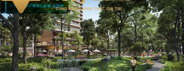 Giá 1.5 tỷ, bán chung cư có dt là 45 m2 tọa lạc trên Thị Xã Dĩ An, Tỉnh Bình Dương thuận tiện di chuyển-03