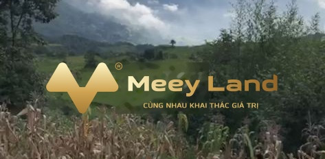 Tại Bát Xát, Lào Cai bán đất 3.2 tỷ dt chung 4000 m2-03