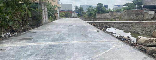 Siêu rẻ60m2 đất lôgóc Lương Quán Nam Sơn, An Dương đường 7m hơn tỷ xíu -03