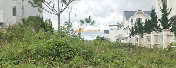 Bán đất vị trí mặt tiền ngay ở Đà Lạt, tỉnh Lâm Đồng-03