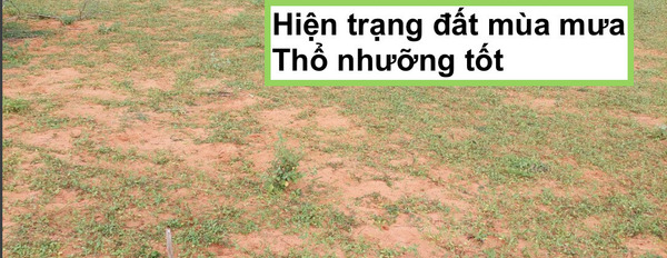 Sau dịch covid cần bán nhanh mảnh vườn 13360m2 sẵn sổ đỏ xã Bình Tân, Bình Thuận-03