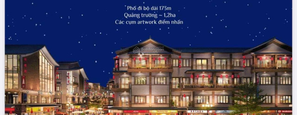 Bán shophouse giá 15,58 tỷ, diện tích 100m2 vị trí mặt tiền ngay trên Văn Giang, Hưng Yên-02