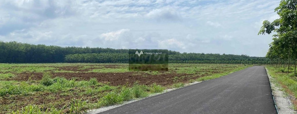 Tân Hiệp, Phú Giáo bán đất giá bán cực rẻ 1.9 tỷ diện tích chung là 1100m2-02