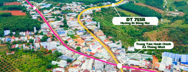 Giá mua ngay chỉ 329 triệu bán đất diện tích trong khoảng 300m2 vị trí đẹp tọa lạc ở Thống Nhất, Bình Phước-02