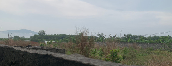 Bán gấp 7 sào đất đẹp và giá ngộp tại ấp ruộng tre xã Bảo Quang, Long Khánh, Đồng Nai-02
