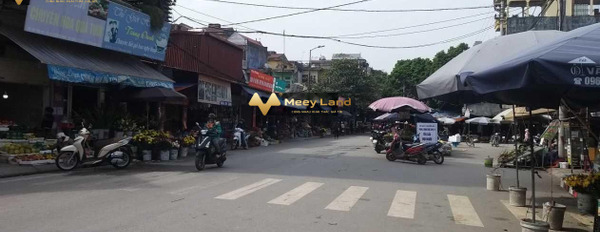 Bán đất 1.14 tỷ Lâm Tiên, Đông Anh có dt tiêu chuẩn 46m2-03