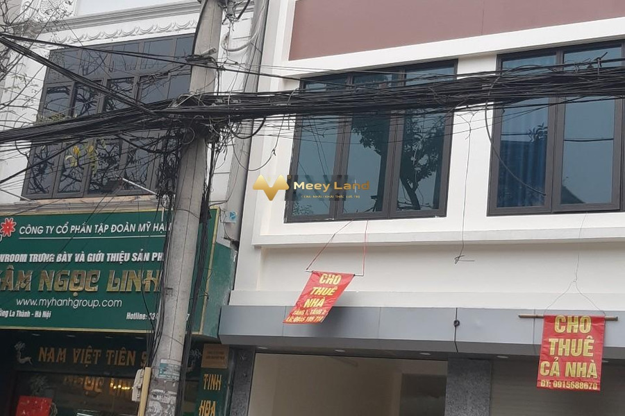 Cho thuê nhà diện tích 70m2 Đê La Thành, Ô Chợ Dừa, giá 28 triệu/tháng-01